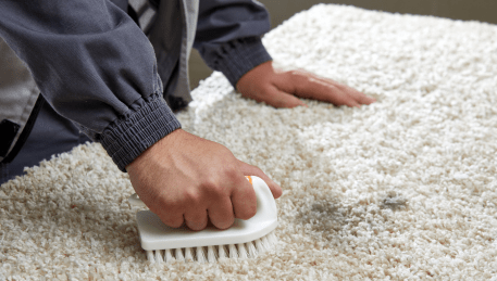 Professional Rug Cleaning Redan